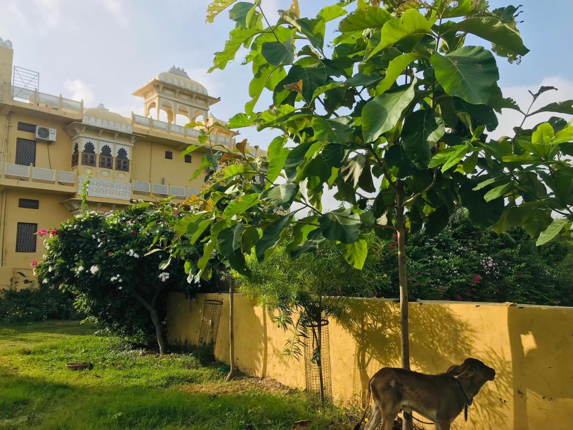 Deogarh Hills Appartement Kaunthal Buitenkant foto