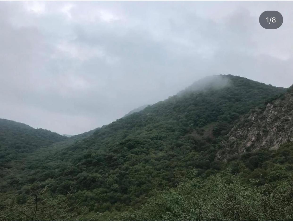 Deogarh Hills Appartement Kaunthal Buitenkant foto