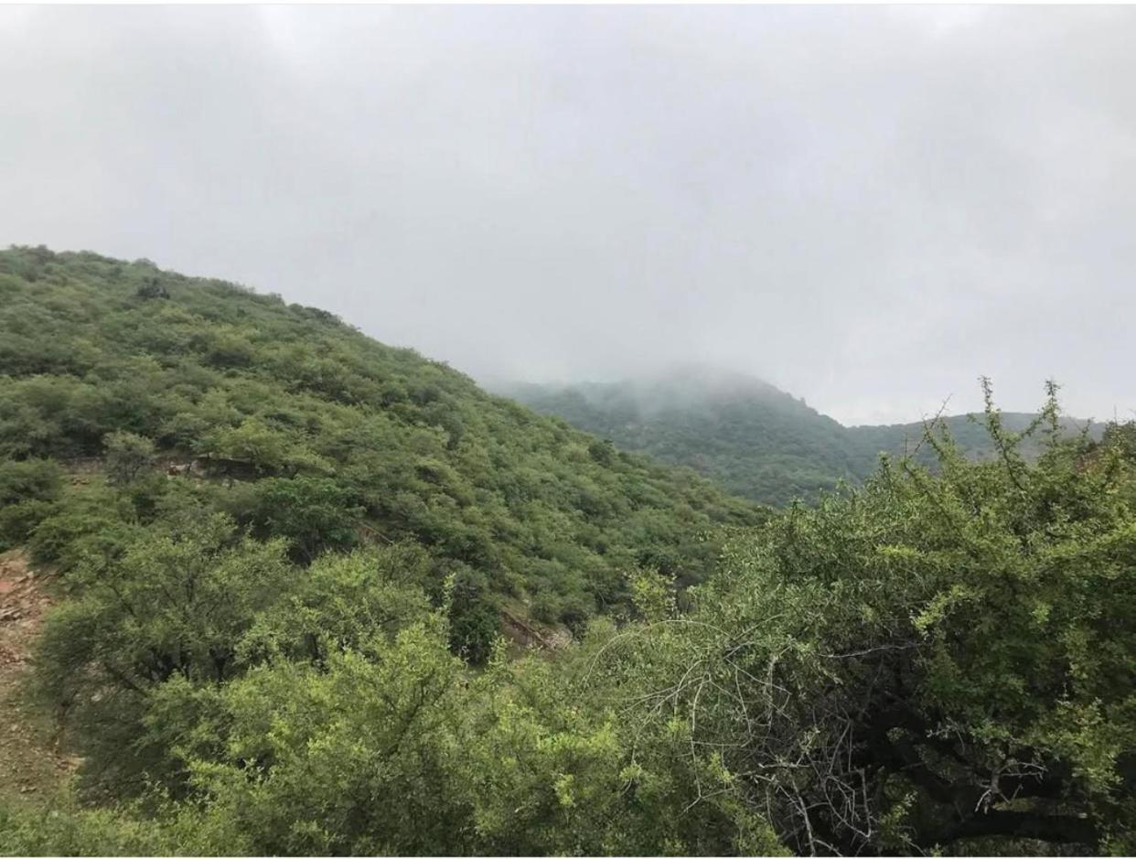 Deogarh Hills Appartement Kaunthal Buitenkant foto